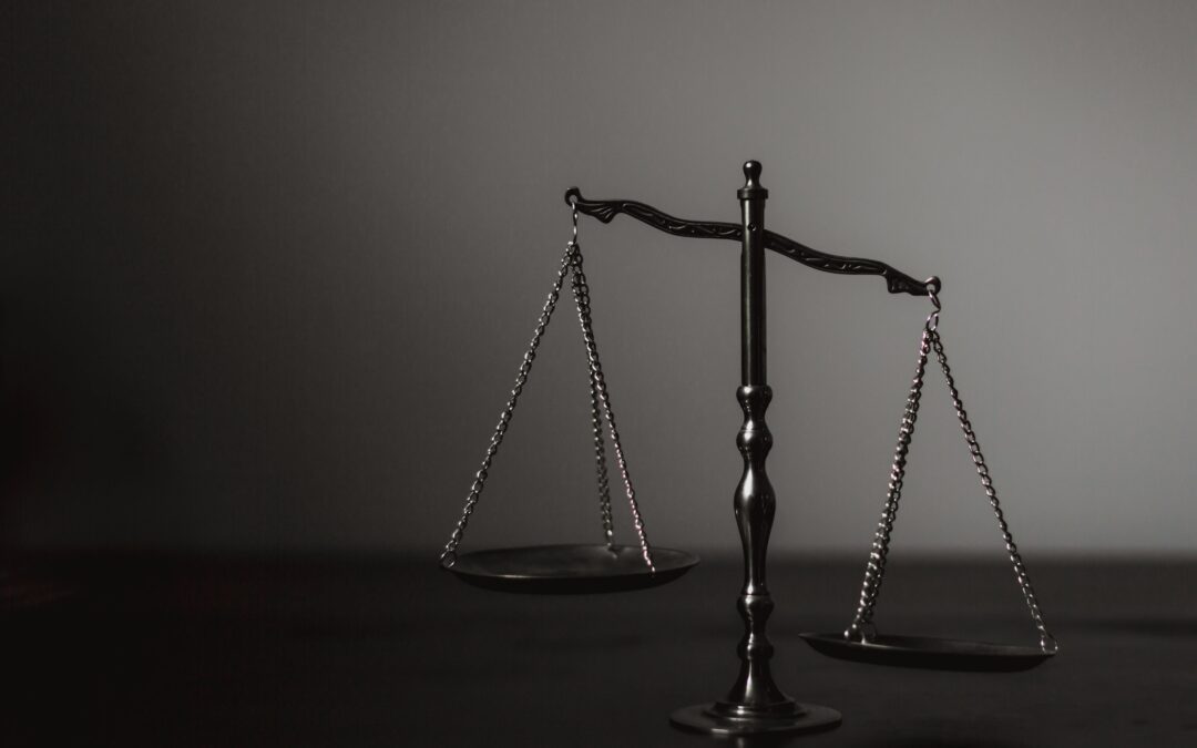 Hard Law, Hard Choices: The Corporate Sustainability Due Diligence Directive (CSDDD), Omnibus Simplifications and the Future of EU Procurement Law – Part 1